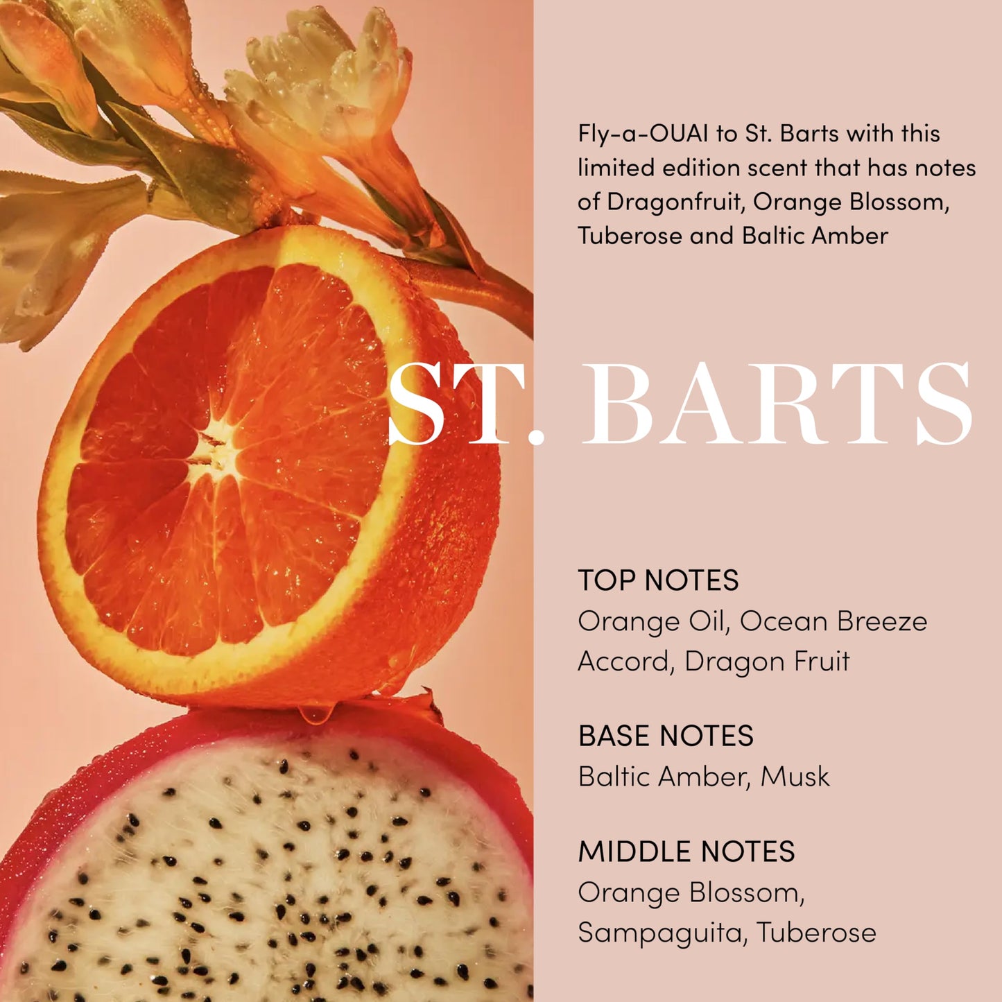 OUAI Body Cream, St. Barts - Hydrating Whipped Body Cream with Cupuaçu Butter, Coconut Oil and Squalane - Softens Skin and Delivers Healthy-Looking Glow - Sulfate-Free Skin Care (7.5 Oz)