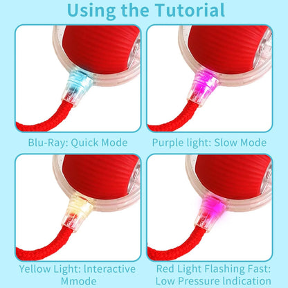 Interactive Cat Toy Ball, 2025 Upgraded Cat Toys for Bored Indoor Adult Cats, Smart Self Rolling Interactive Dog Ball Toys, Automatic Moving Peppy Pet Ball for Cats Kitten