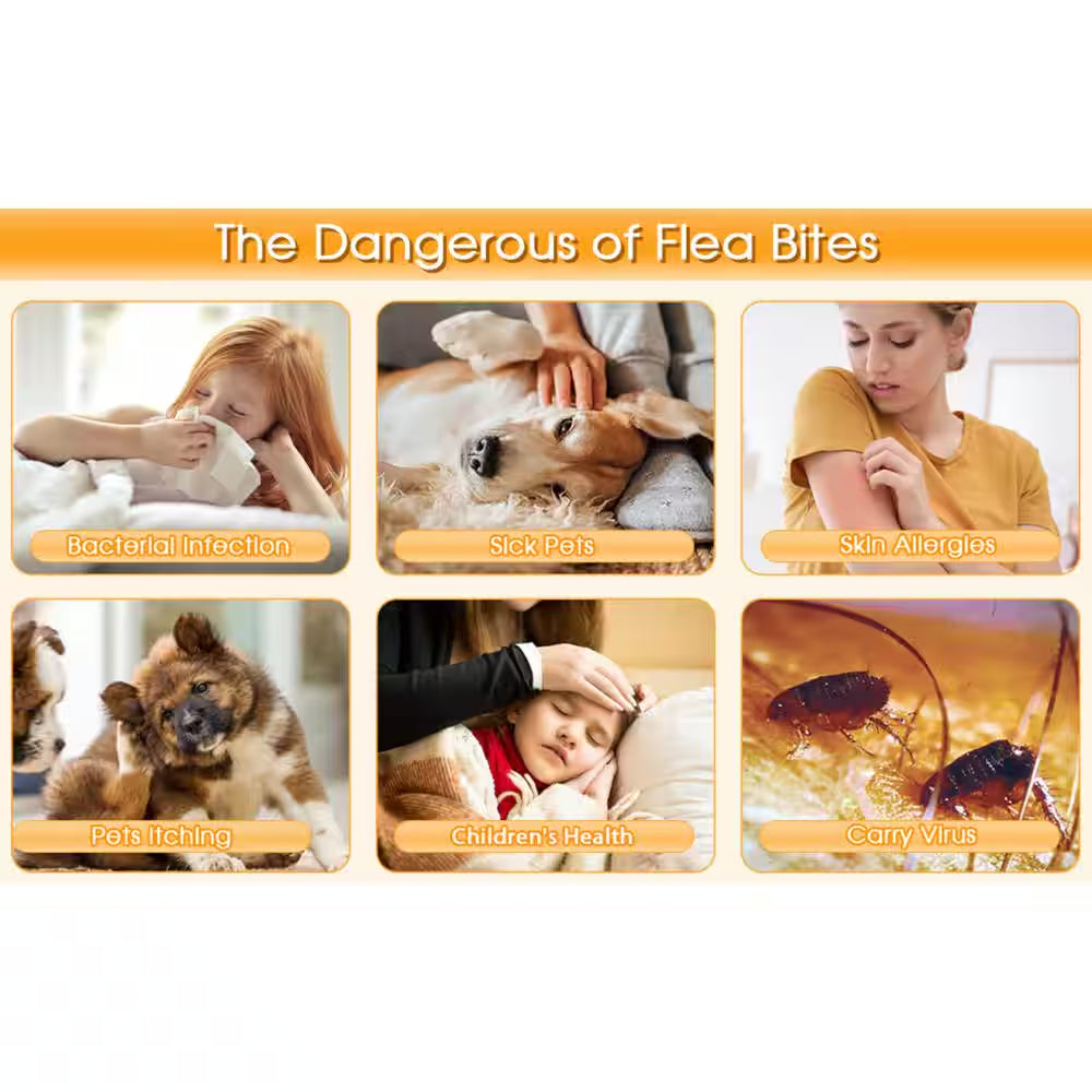 Modern Indoor Flea Traps with 8 Sticky Disc & 4 Bulbs & 2 Electric Wires, Flea Killer Bed Bug Trap Pest Control (2-Pack)