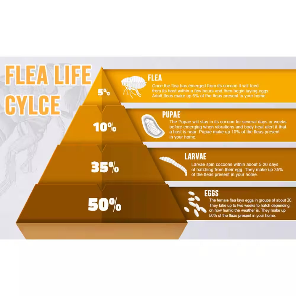 Modern Indoor Flea Traps with 8 Sticky Disc & 4 Bulbs & 2 Electric Wires, Flea Killer Bed Bug Trap Pest Control (2-Pack)