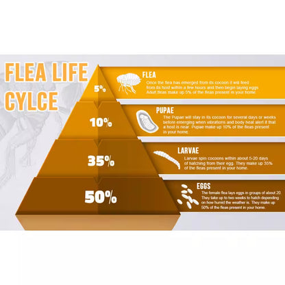 Modern Indoor Flea Traps with 8 Sticky Disc & 4 Bulbs & 2 Electric Wires, Flea Killer Bed Bug Trap Pest Control (2-Pack)