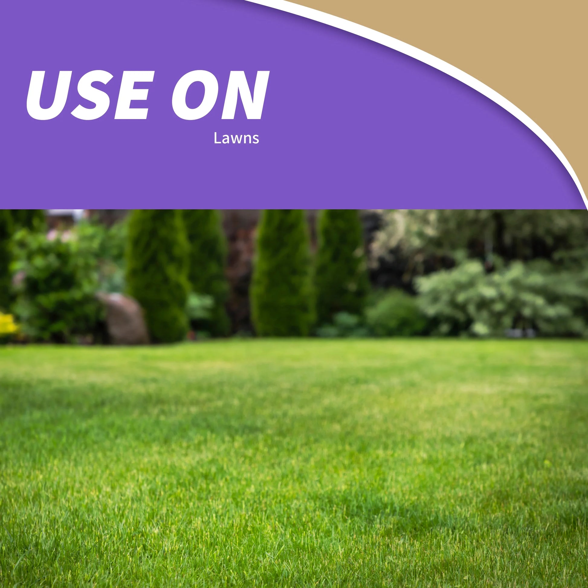 Mole Max Mole & Gopher Repeller Solar Powered Sonic Spike, 1 Unit