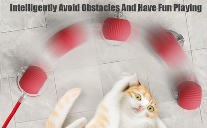 Interactive Cat Toy Ball, 2025 Upgraded Cat Toys for Bored Indoor Adult Cats, Smart Self Rolling Interactive Dog Ball Toys, Automatic Moving Peppy Pet Ball for Cats Kitten