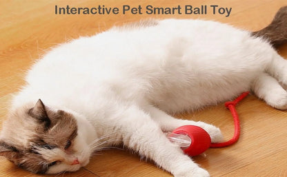 Interactive Cat Toy Ball, 2025 Upgraded Cat Toys for Bored Indoor Adult Cats, Smart Self Rolling Interactive Dog Ball Toys, Automatic Moving Peppy Pet Ball for Cats Kitten