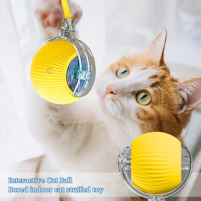 Interactive Cat Toy Ball, 2025 Upgraded Cat Toys for Bored Indoor Adult Cats, Smart Self Rolling Interactive Dog Ball Toys, Automatic Moving Peppy Pet Ball for Cats Kitten