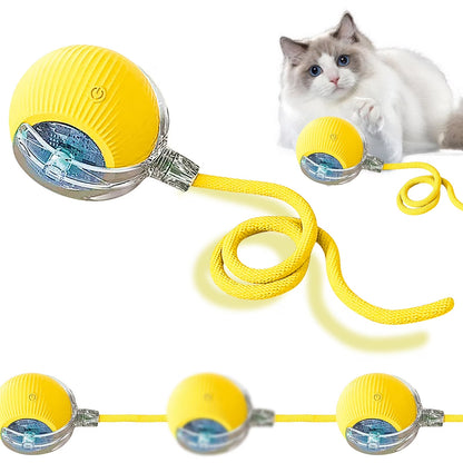 Interactive Cat Toy Ball, 2025 Upgraded Cat Toys for Bored Indoor Adult Cats, Smart Self Rolling Interactive Dog Ball Toys, Automatic Moving Peppy Pet Ball for Cats Kitten