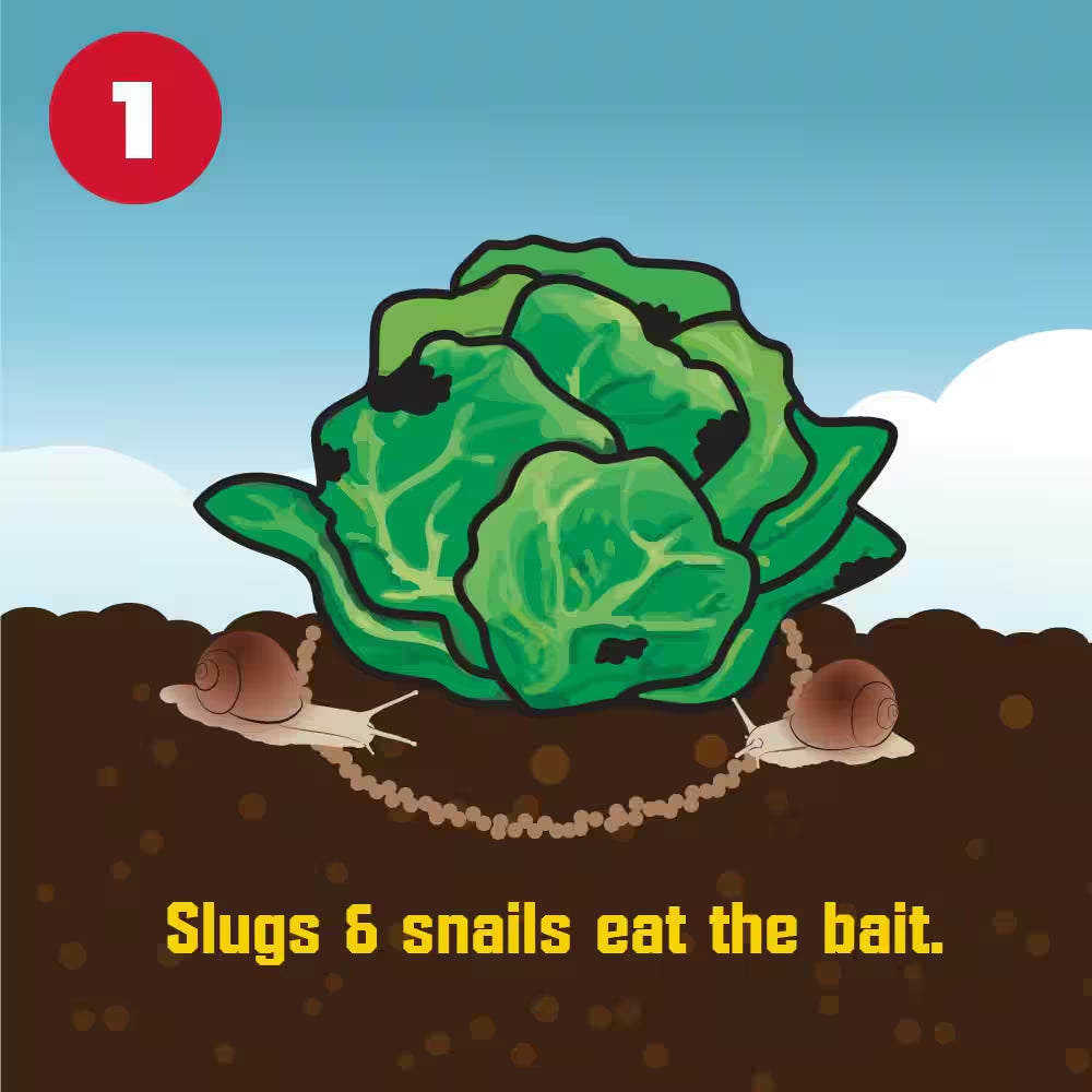 1.75 Lb. 8,750 Sq. Ft. Outdoor Lawn and Garden Slug and Snail Killer