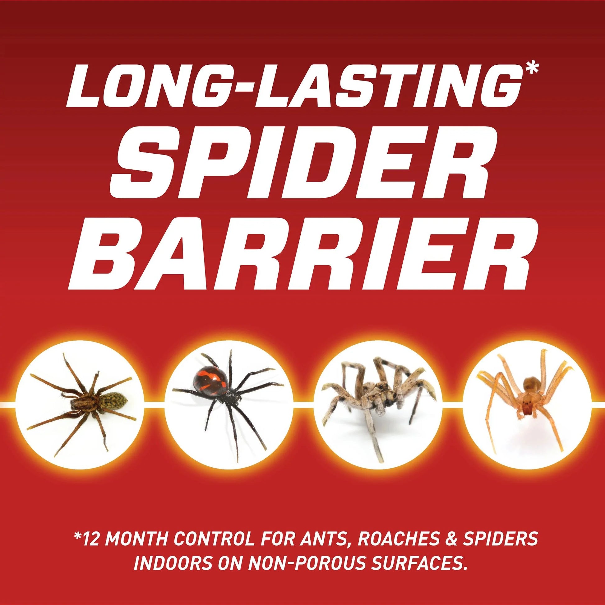 Home Defense Insect Killer for Indoor & Perimeter Refill2, 1 Gal.